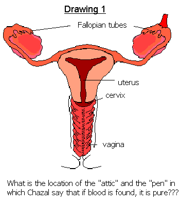 woman1_eng