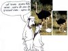 How do we know that we are forbidden to eat the egg of an impure bird? From the ostrich