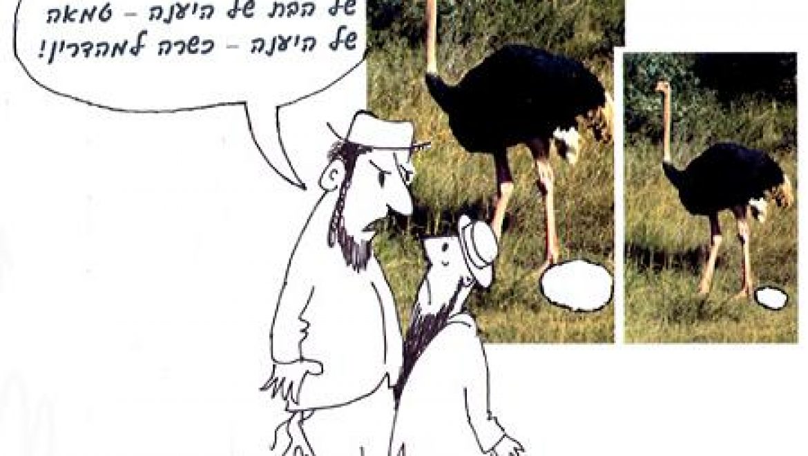 How do we know that we are forbidden to eat the egg of an impure bird? From the ostrich