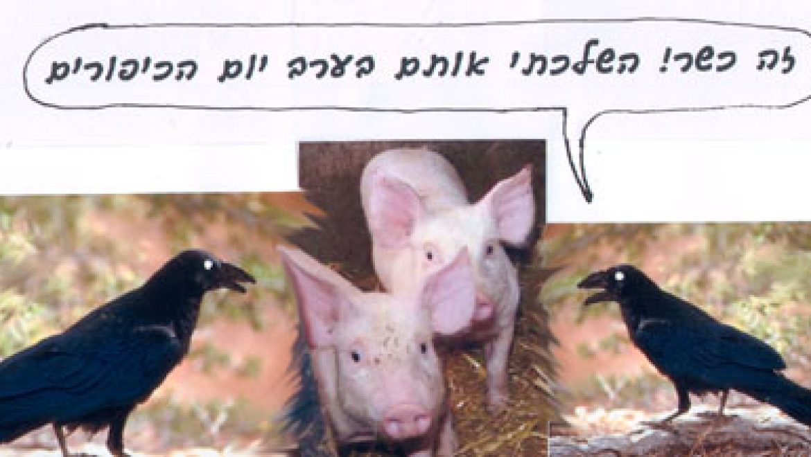 Meat dropped by crows on the eve of Yom Kippur is kosher