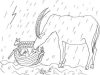 How did the <I>reem</i> get into the Ark?