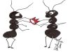 Do the ants have a queen?