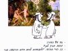 Откуда мы знаем, что упомянутые в Торе «плоды прекрасного дерева» – это плоды этрога (цитрона)