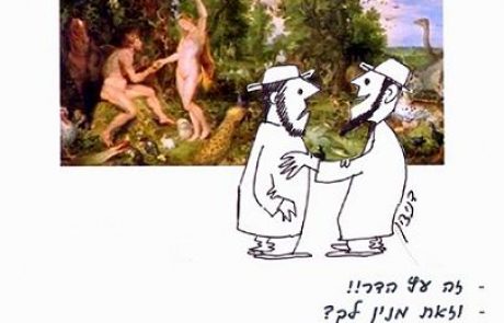 Откуда мы знаем, что упомянутые в Торе «плоды прекрасного дерева» – это плоды этрога (цитрона)