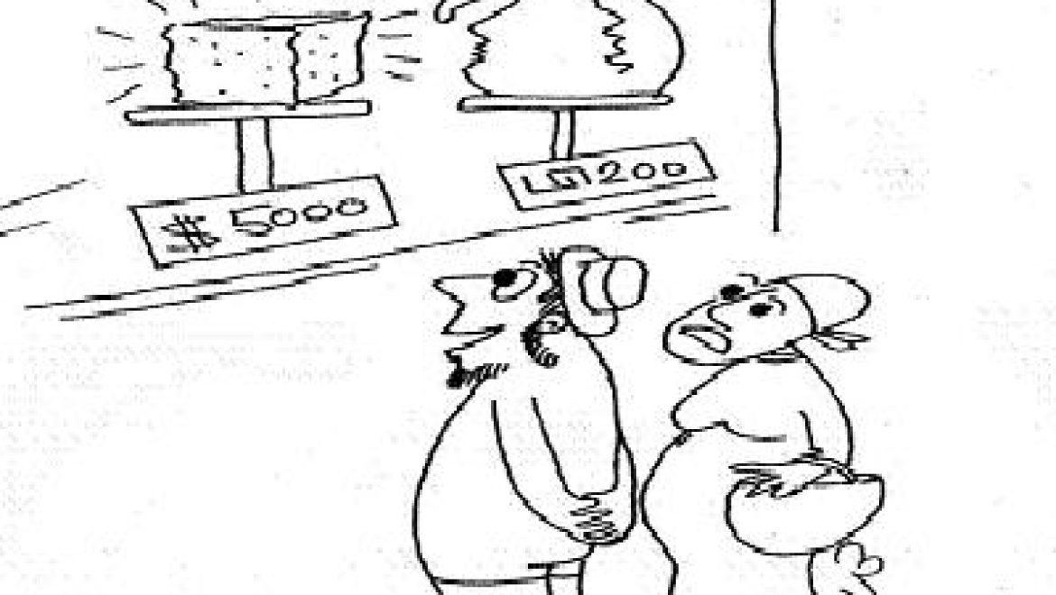 On the Sabbath, should one use pottery or a stone to wipe the anus?