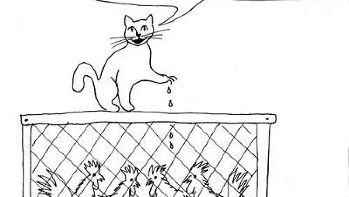 Does a cat have venom in its claws which can kill kids and lambs?