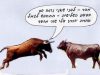 What is the rule for an ox which gored an ox, another ox, a third ox, and then a donkey and a camel?