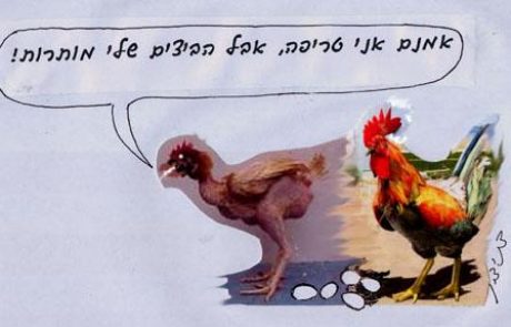 The fertilized eggs of a sick tereifah hen are permitted and the unfertilized are not