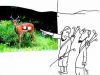 Яйца самки <i>яхмора </i>(разновидность антилопы) – это порождения семени оленя
