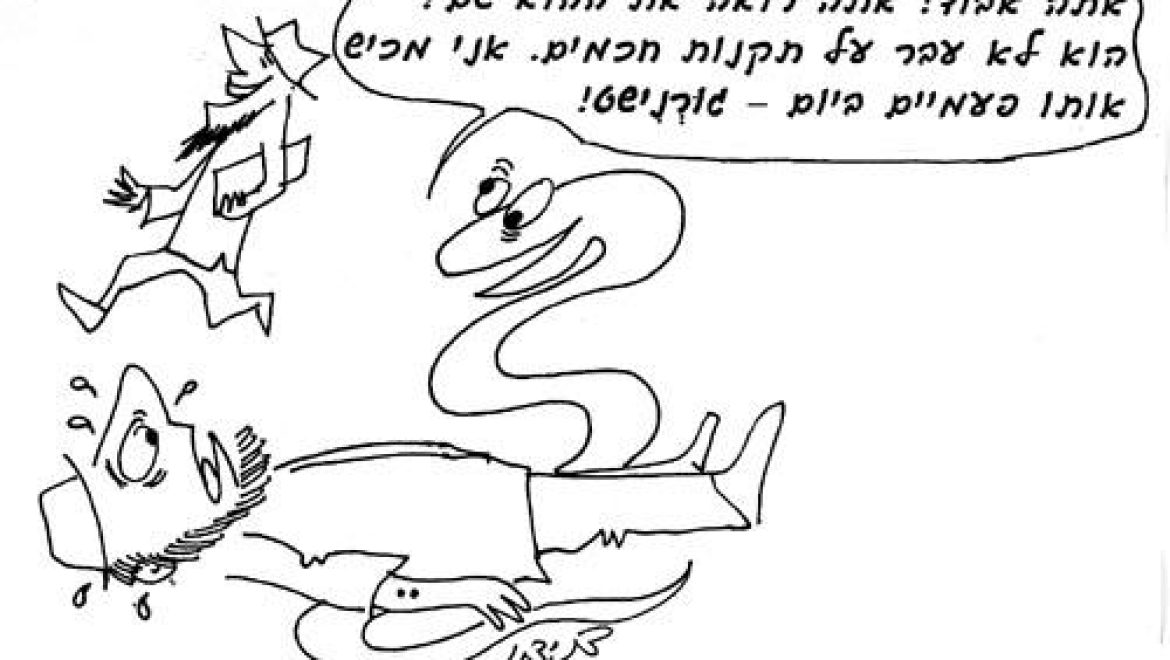 A man bitten by a snake because he violated a rabbinic edicts will not be cured by physicians