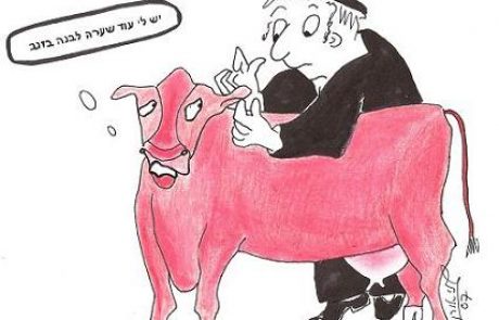 Is a red heifer which sprouts a white hair on its tail and another on its head valid or invalid?