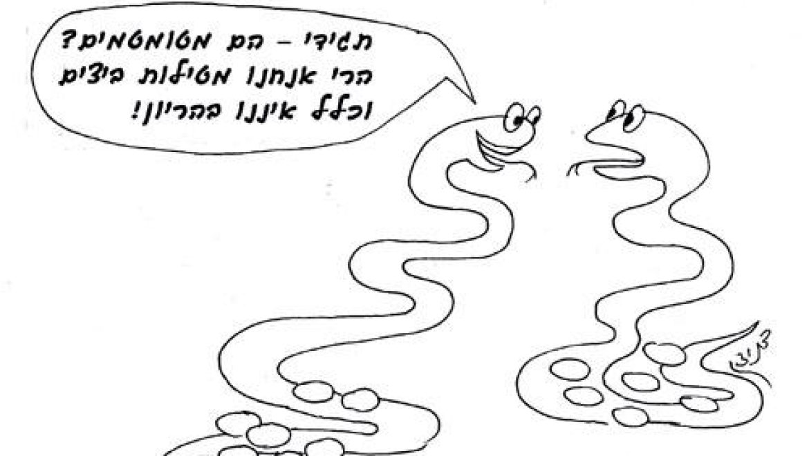 How long is a snake pregnant?
