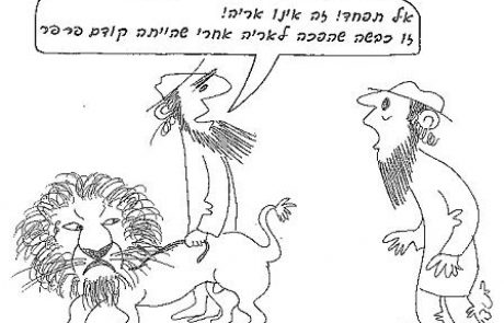 Does a lion attack and then eat its prey or does it tear it apart and only later eat?