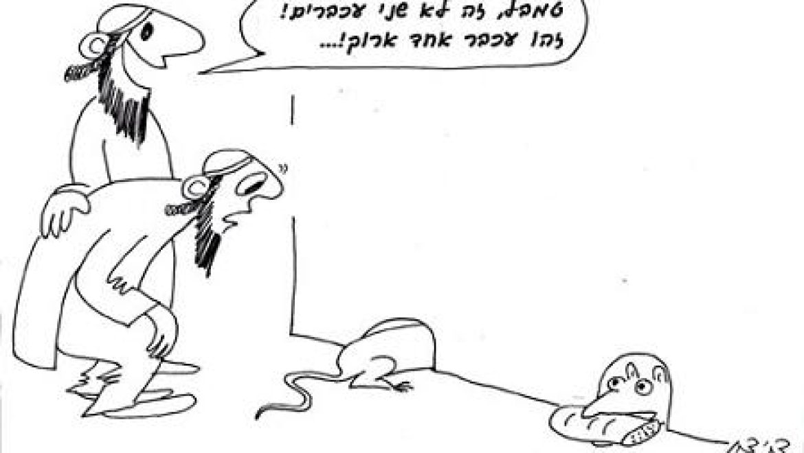 White mouse, black mouse, leaven and the rat