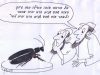 ברדלס הוא צבוע וצבוע נעשה עטלף