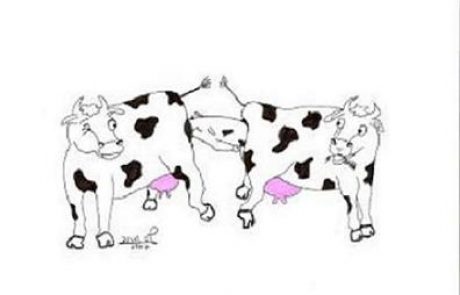 A cow which birthed a calf directly into the womb of another cow