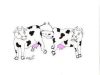 A cow which birthed a calf directly into the womb of another cow