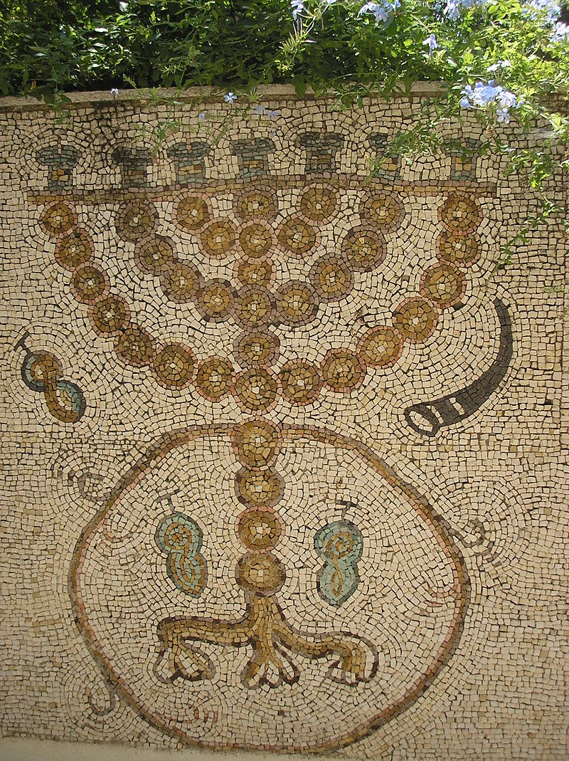 פרשת בהעלותך