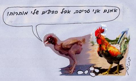 תרנגולת חולה המוגדרת טריפה ביצים שמטילה המופרות מותרות שאינן מופרות אסורות
