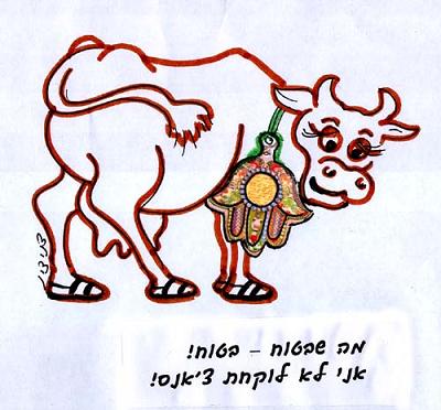 An expert in treating humans through amulets is not an expert in treating animals