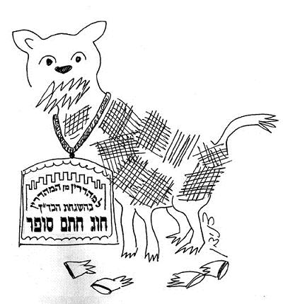 המטייל בדרום אמריקה ופגש חיה שאינו מכירה ורגליה ופיה חתוכים אם סיבי בשרה שתי וערב כשרה.
