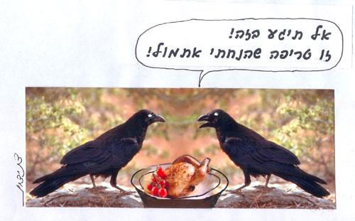 בשר כשר המונח על השולחן ללא פיקוח יש חשש שעורבים יחליפו אותו עם בשר נבלה