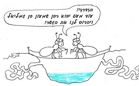 כיצד גורמים לקן נמלים להרוג זה את זה