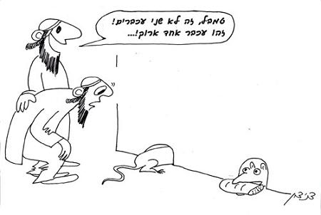 עכבר לבן, עכבר שחור, חמץ וחולדה
