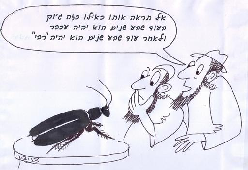 ברדלס הוא צבוע וצבוע נעשה עטלף