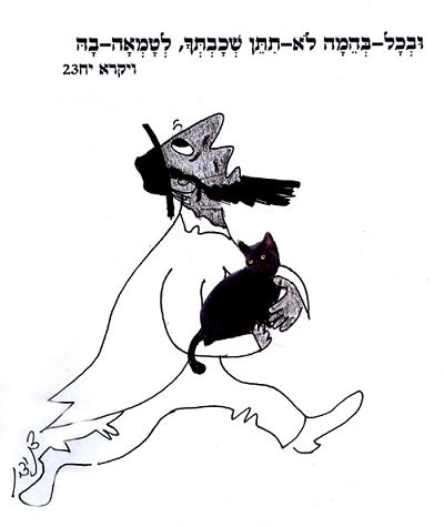 חתול שחור שאביו לבן וסבו שחור- האם מותר לגדלו?