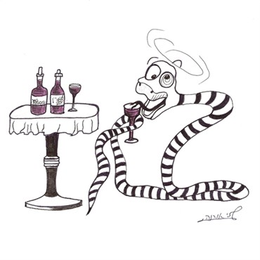 A snake who drinks diluted wine and leaves venom in it