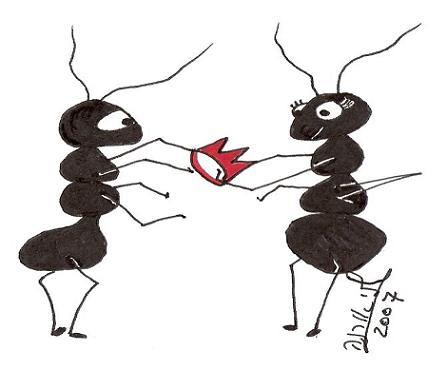 האם לנמלים יש מלכה?