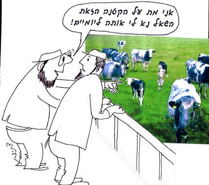 השואל פרה מחברו על מנת לשכב איתה