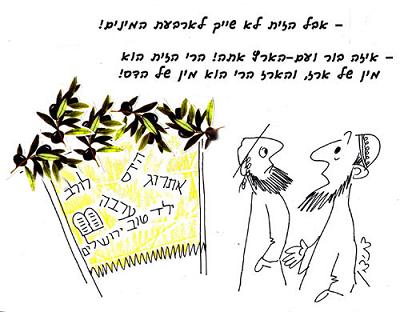 במה מסככים את הסוכה?