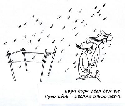 סכך סוכה צריך שיהיה מהצומח ושאינו כלי או פירות.