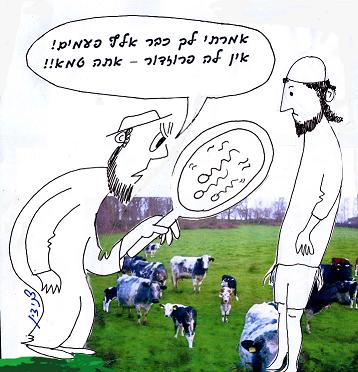 זרע גבר יהודי שיצא מרחם נוכריה ומרחם בהמה