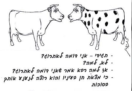 אתרוג שתוכו הרקיב וקליפתו קיימת האם דינו כריאת בהמה