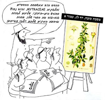 הדס שנקטם ולאחר זמן צמח פרי במקום הקטימה