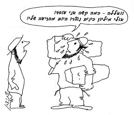 מותר להרוג כינה בשבת אבל לא ביצי כינים