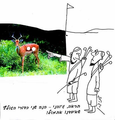 ביצי היחמורה הן תוצרת זרע האייל