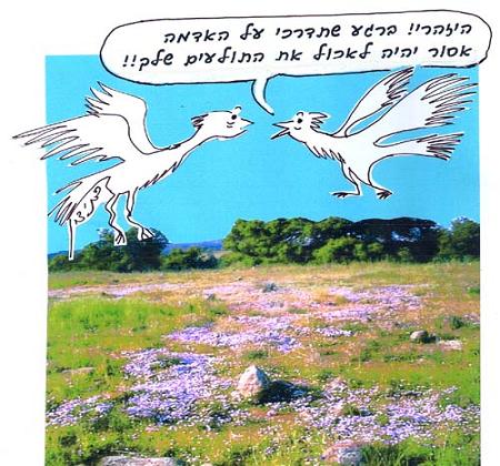 תולעים שלא זחלו על הקרקע מותרות באכילה