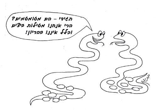 משך זמן הריונה של הנחשה שבע שנים