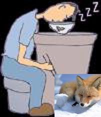 הפרעות שינה